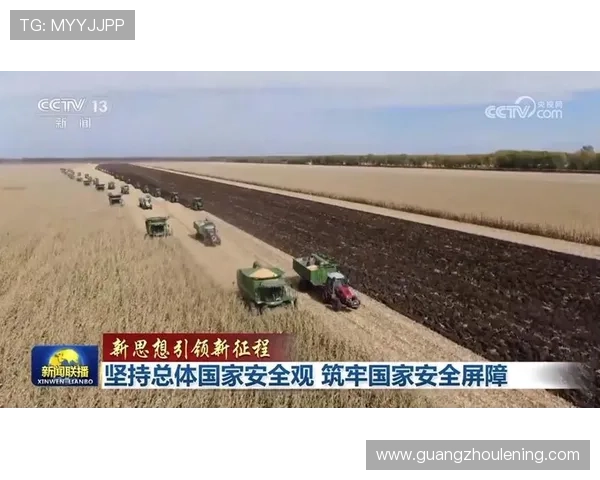 斯洛伐克加速反击策略实施背景与国家安全影响分析